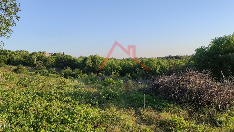TRGET - building land 1 km from the sea