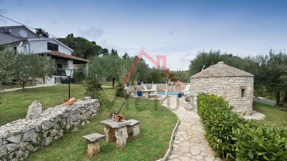 Istria, Drenje - two houses overlooking the sea on a unique property full of olive trees