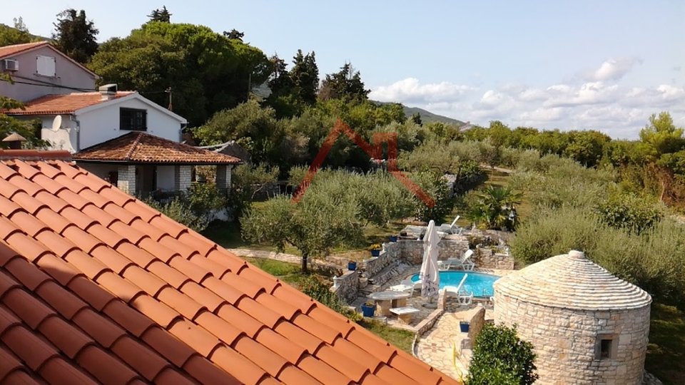 Istria, Drenje - two houses overlooking the sea on a unique property full of olive trees